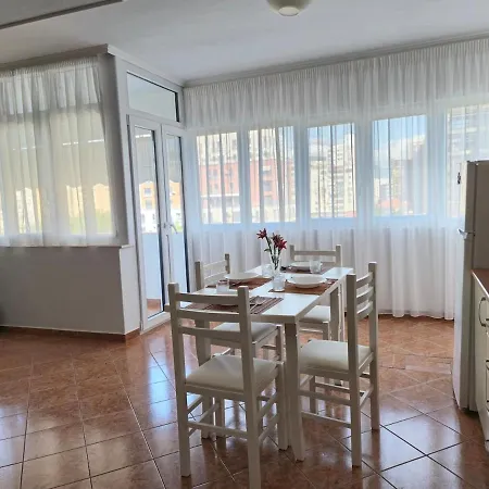 Homea Cozy ティラナ